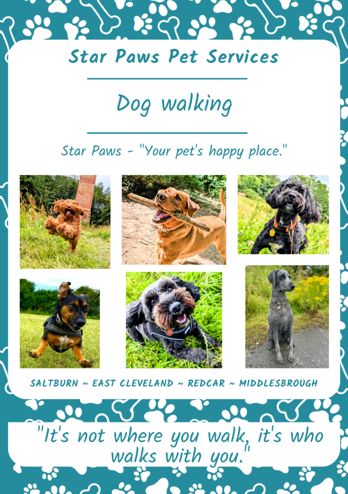 Dog Walking